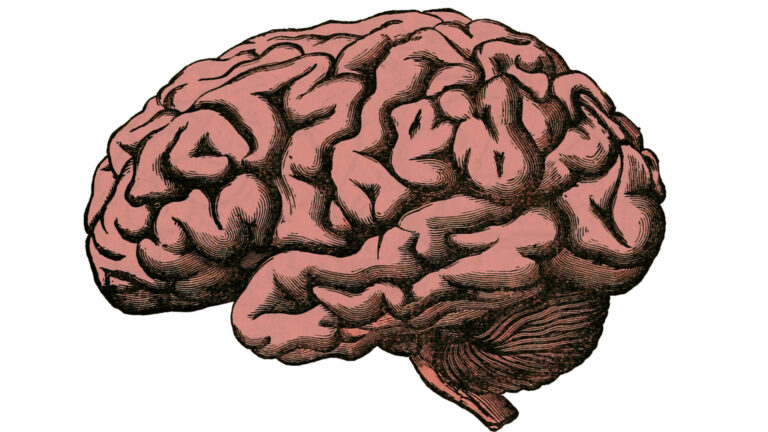 IT – Trends und Herausforderungen Teil 4 7 Neuro-Selling: Lasst uns mal Klartext reden – mit Herz und Hirn